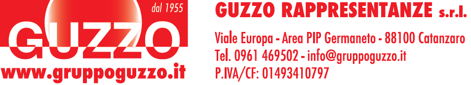 Gruppo Guzzo